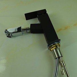 Art Deco / Retro Pullout Spray Brass Painting Bathroom Sink Faucet